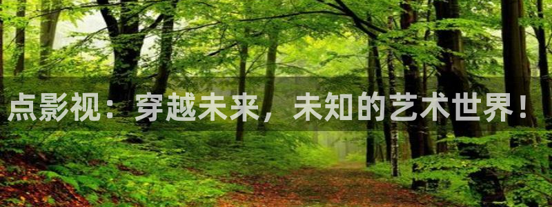 極速影院精簡(jiǎn)版正版下載：點(diǎn)影視：穿越未來(lái)，未知的藝術(shù)世界！