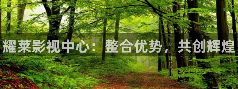 極速影院2024：耀萊影視中心：整合優勢，共創輝煌