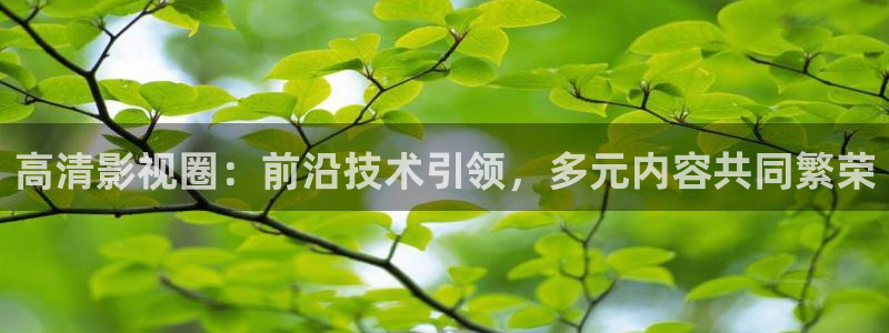 午夜極速影院被窩看片：高清影視圈：前沿技術引領，多元內容共同繁榮